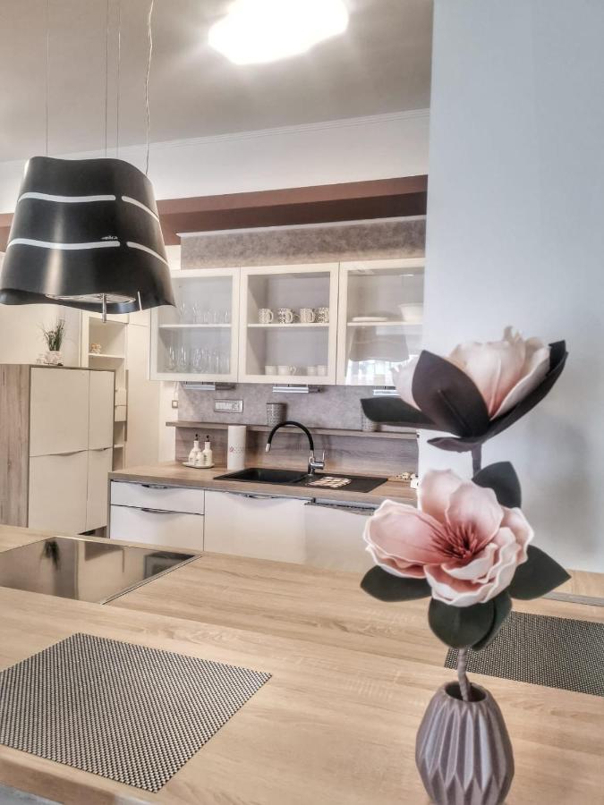 Studio Apartment "Brigita",Parking With Gate Fiume Kültér fotó
